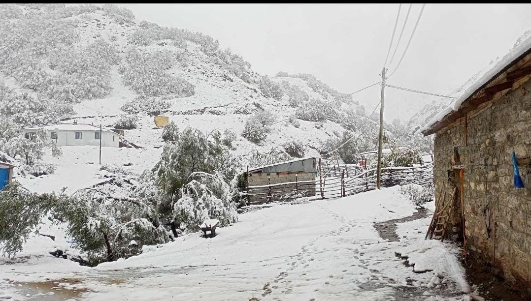 hasadi yapilmayan ceviz kar altinda kaldi 5Gvh3wf6.jpg