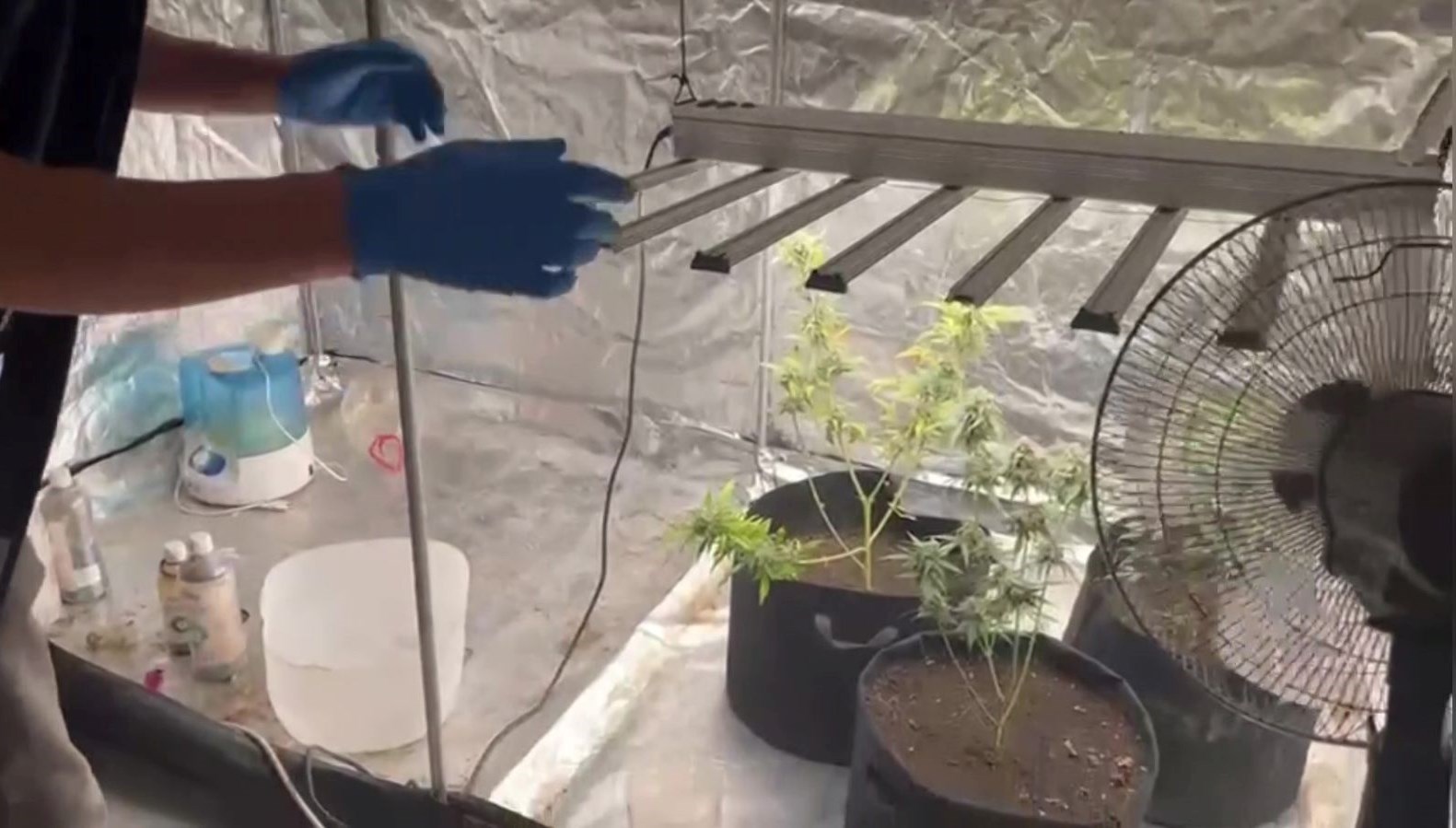 malatyada kilolarca kenevir ele gecirildi MVE3FGU2