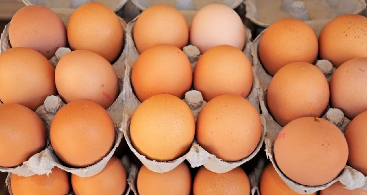 yumurta krizi kapida uretimde sert dusus dXkMd59a.jpg