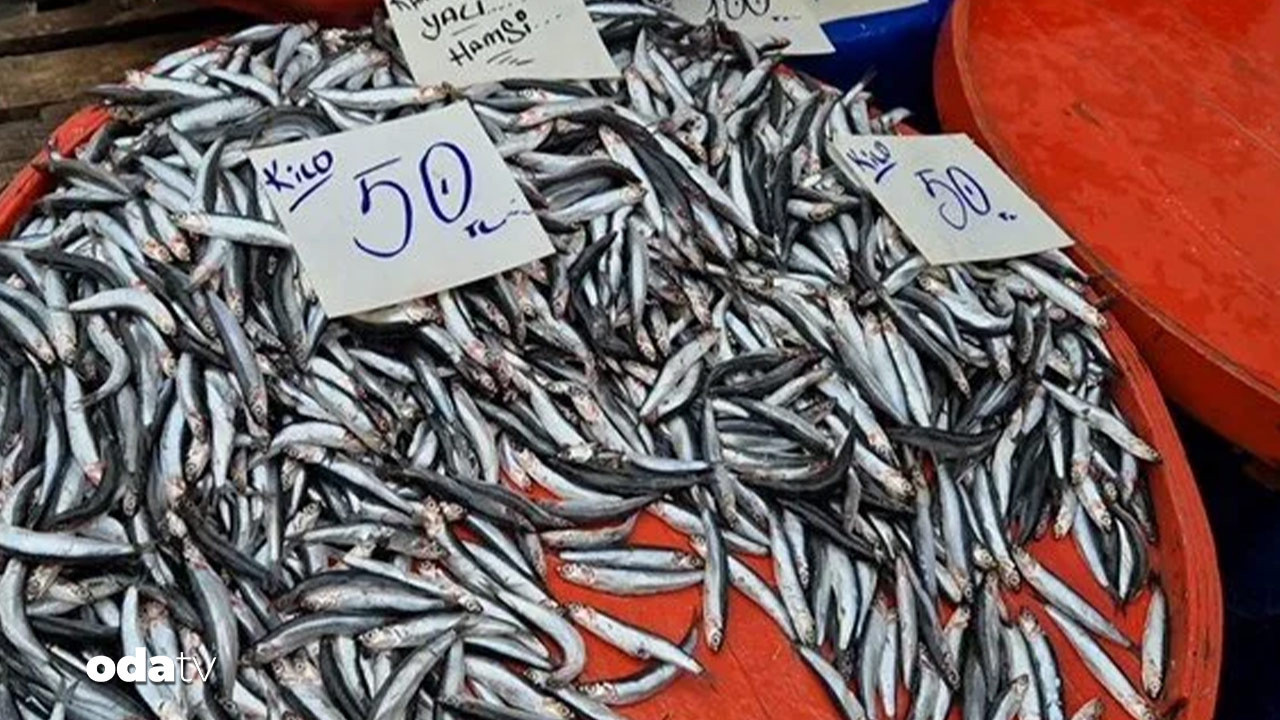 hamsinin kilosu 50 liraya dustu vatandasin yuzu guldu NzlEc6gZ.jpg