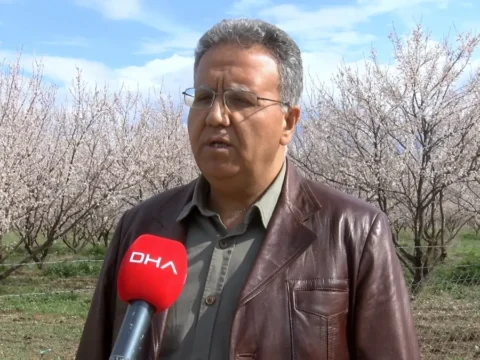 Malatya’da Kayısı Ağaçları Çiçek Açtı