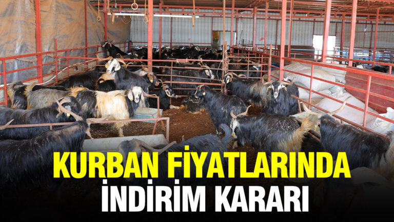 kurban-fiyatlarinda-indirim-karari-AGUhRMqa