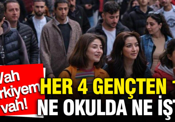 tuikin-istatistiklerle-genclik-2025-raporu-her-4-gencten-1i-ne-okulda-ne-iste-scqayXOm